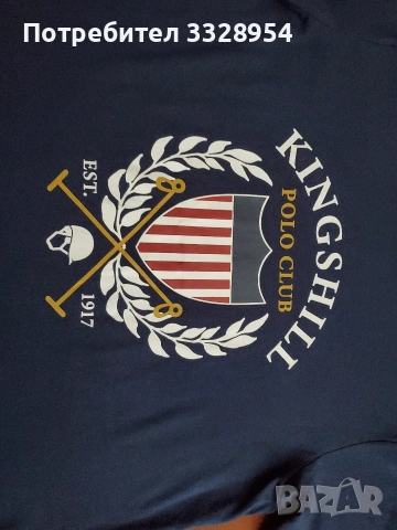 Мъжка тениска Polo sport