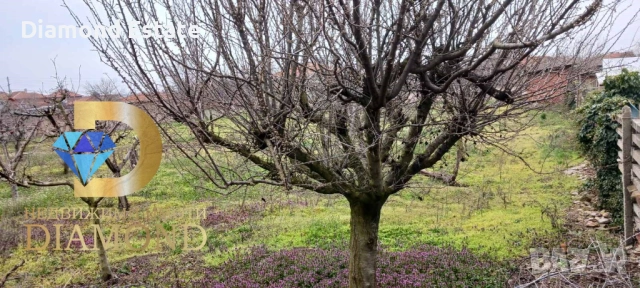 Парцел в село Плодовитово, обл. Стара Загора, снимка 3 - Парцели - 53734036