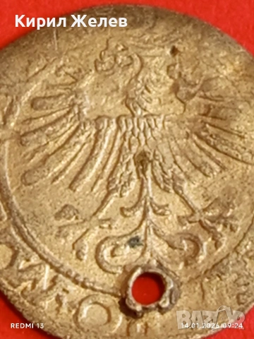 Сребърна монета 1/2 Грош 1562г. Сигизмунд втори Литва за КОЛЕКЦИЯ 52900, снимка 11 - Нумизматика и бонистика - 53092833