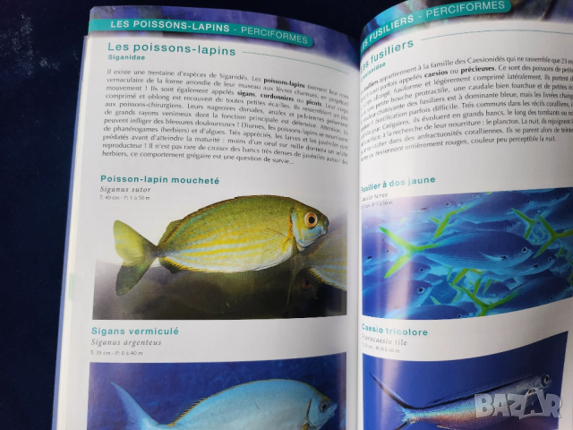 Флора и фауна в морето на Реюнион - на френски, описани 600 вида(вкл.300 вида риби), 800 цветни фото, снимка 7 - Енциклопедии, справочници - 52576292