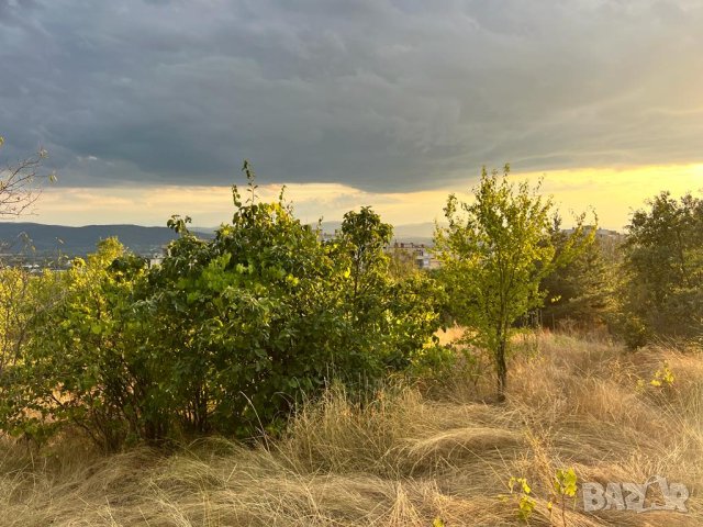 Дворно Място в Казанлък 460 кв. на Тюлбето. Парцел / Място в Източното до Калдъръмения Път , снимка 6 - Парцели - 42132141