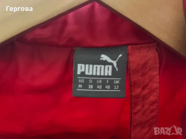 Дамско яке пума, снимка 3 - Якета - 47648632