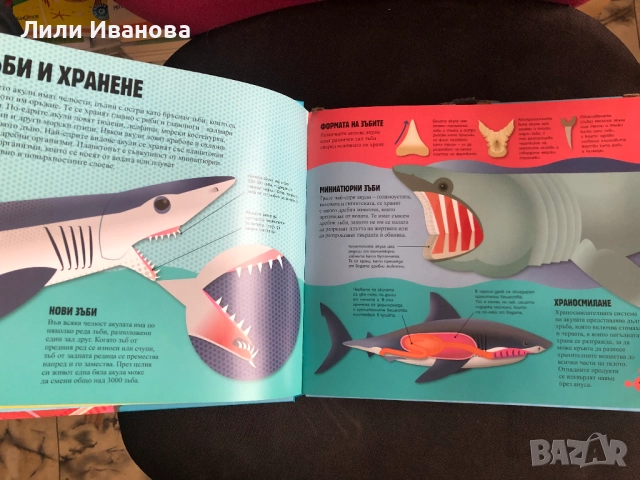 Прочети и сглоби: Акулите, снимка 2 - Детски книжки - 51474679