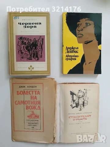 Автобиография - Анджела Дейвис