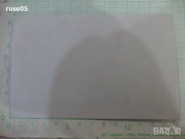 Снимка стара група младежи подсянка в слънчев ден, снимка 2 - Колекции - 47912583