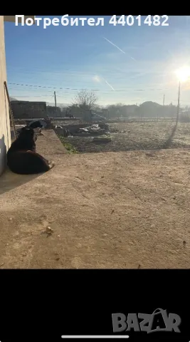Две дворни места едното с план за къща., снимка 6 - Къщи - 49305670