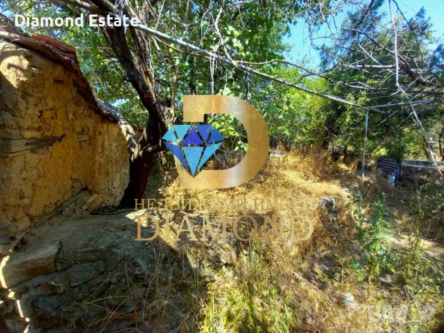 Парцел в село Александрово, обл. Хасково, снимка 8 - Парцели - 50936176