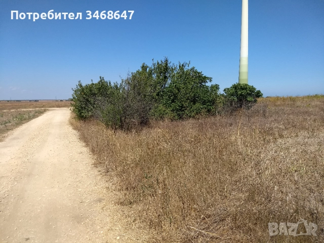 Земеделска земя, лозе, м-т Шабленските лозя, снимка 3 - Земеделска земя - 51701313