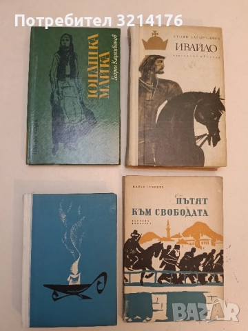 Някога в Цариград. Българска хроника - Христо Д. Бръзицов