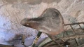 Велосипед/колело Балкан, снимка 4
