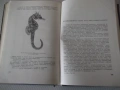 Книга "Рибите в Черно море - Колектив" - 248 стр., снимка 6