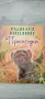 Детски книжки и енциклопедии , снимка 4