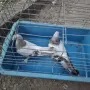 Гълъби   гълъби , снимка 6