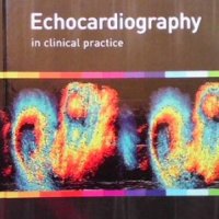 Echocardiography in clinical practice John Chambers, снимка 1 - Специализирана литература - 36030933