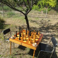 градински шах, снимка 13 - Градински мебели, декорация  - 44241445