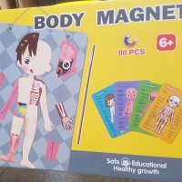 80 части! Детска магнитна дъска"Човешкото тяло", снимка 5 - Образователни игри - 41963410