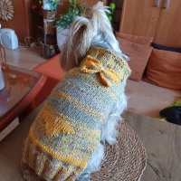 Плетена дрешка за куче М размер Различни цветове , снимка 7 - За кучета - 44343726