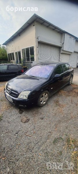 Опел съгнум , снимка 1