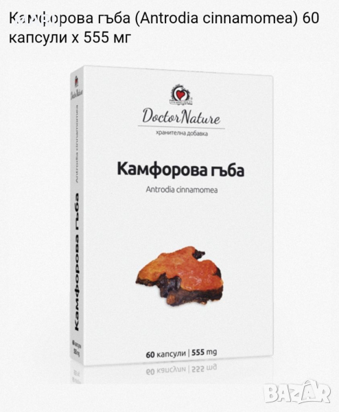 Камфорова гъба 60 капсули, снимка 1