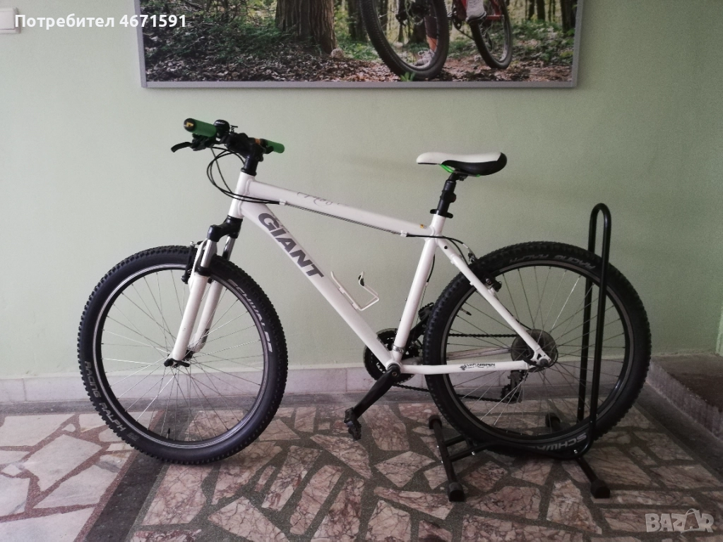 Giant, снимка 1