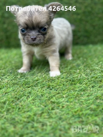 Уникално момче , снимка 1