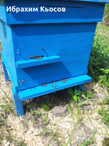 Пчелни кошери -Дадан блат, снимка 2 - Други стоки за животни - 13538515