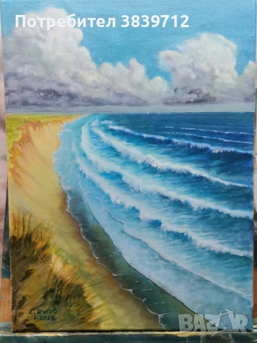 Крайбрежни вълни, снимка 2 - Картини - 53663713