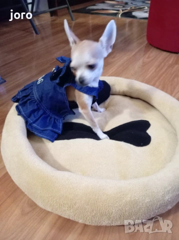 Креватче за кучета и котки, снимка 6 - За кучета - 53249768