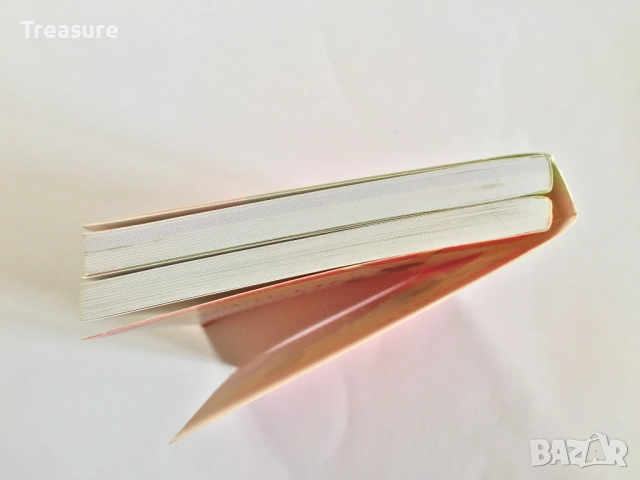 Я красивая. Я худая. И я стерва. И я умею готовить! - Рори Фридман и Ким Барнуин, снимка 8 - Други - 39803205