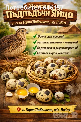 пъдпъдъци и пъдпъдъчи яйца 