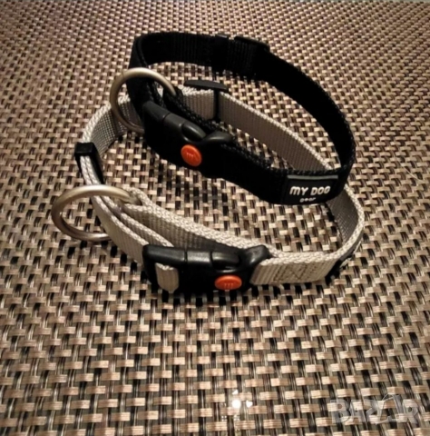 2 нашийника "My dog"