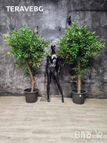 Декоративни дървета , снимка 8 - Изкуствени цветя - 50801494