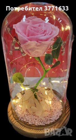 Вечна Роза в Стъкленица, снимка 3 - Романтични подаръци - 41801347
