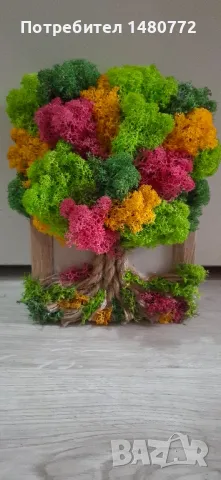 Дърво в рамка със скандинавски мъх, снимка 8 - Декорация за дома - 48071745