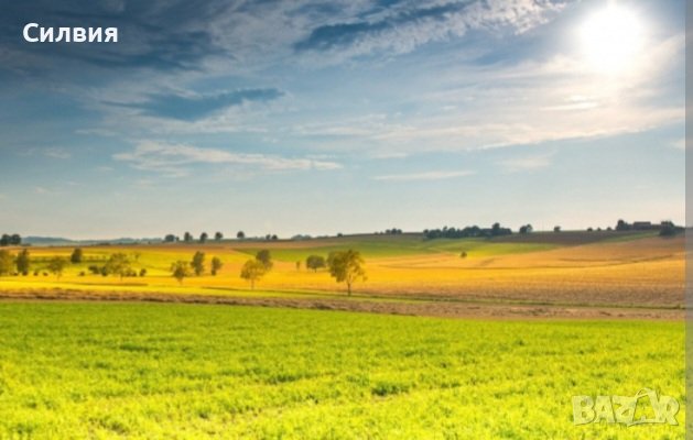 Косене на високи и ниски  треви  , снимка 2 - Други услуги - 41819464