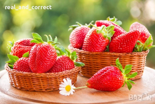 ПРОМОЦИЯ Разсад Ягоди и Малини Елитни Сортове