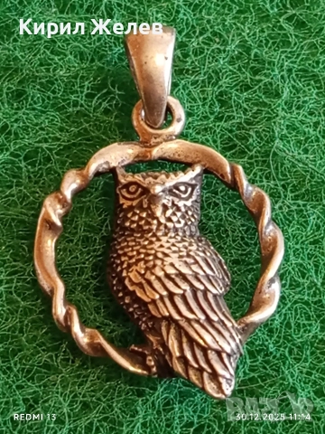 Модерен дизайн сребърна висулка БУХАЛ в ВЕНЕЦ символизира мъдрост и знание 52544, снимка 4 - Колиета, медальони, синджири - 52934443