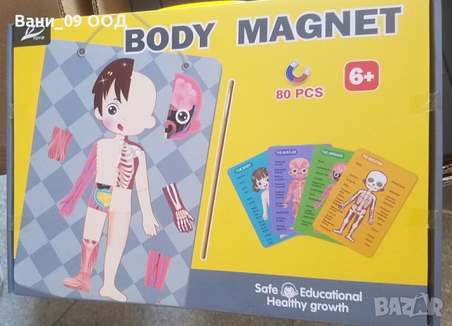 80 части! Детска магнитна дъска"Човешкото тяло", снимка 5 - Образователни игри - 41963410