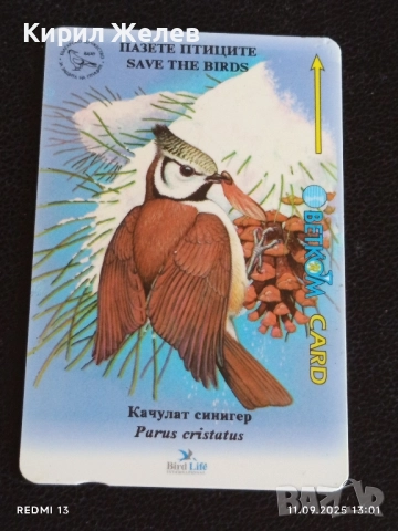 Три фонокарти БЕТКОМ тема БУХАЛ,СОКОЛ,СИНИГЕР 14907, снимка 7 - Колекции - 51677590