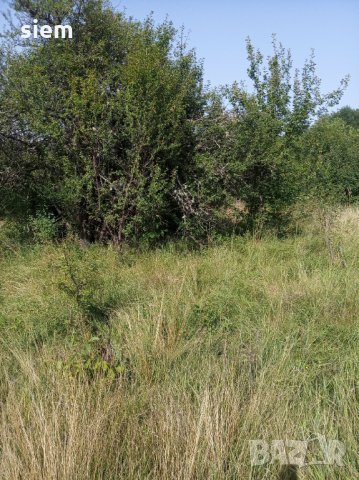 Дворно място/ Парцел 1000 кв.м, снимка 7 - Парцели - 33885672