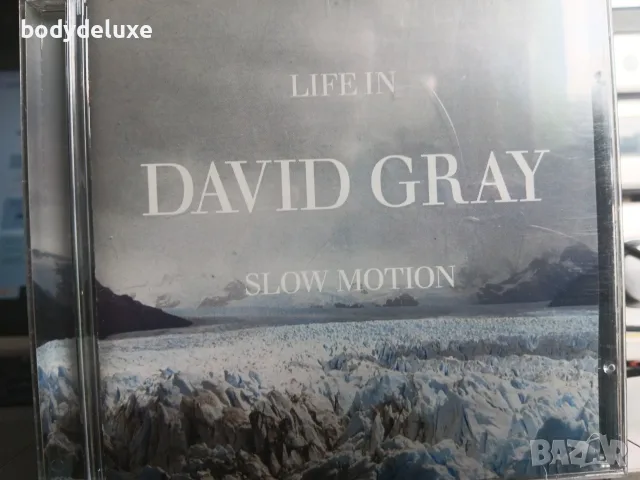 DAVID GRAY аудио дискове