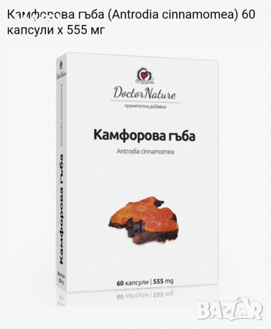 Камфорова гъба 60 капсули