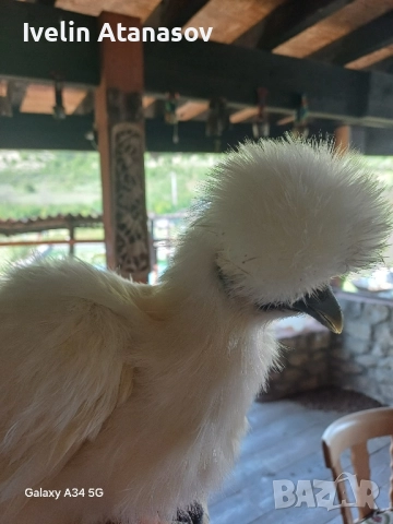 Двойка копринки., снимка 5 - други­ - 51798577