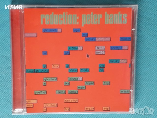 Peter Banks(Yes)(Jazz-Rock,Prog Rock)-3CD, снимка 9 - CD дискове - 44480385