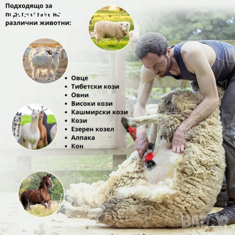 Електрическа машинка за стригане на овце и кози PAT JULIMG – 1000W, 6 скорости, професионални острие, снимка 4 - За селскостопански - 51964100