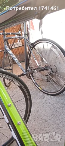 Скот карбон, снимка 10 - Други спортове - 47507513