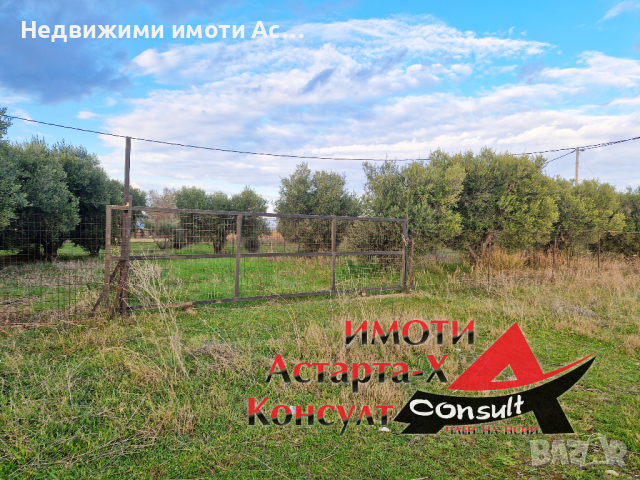 Астарта-Х Консулт продава парцел в Агиос Мамас Халкидики Гърция , снимка 1 - Земеделска земя - 44735166