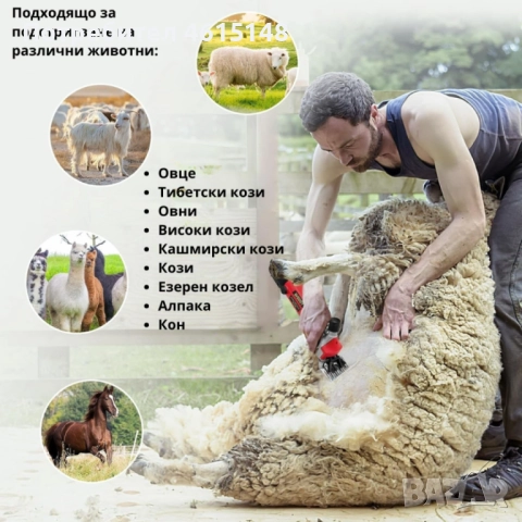 Електрическа машинка за стригане на овце и кози PAT JULIMG – 1000W, 6 скорости, професионални острие, снимка 2 - Други стоки за дома - 51963273