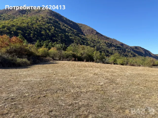 Земеделски имот , снимка 5 - Земеделска земя - 56347601