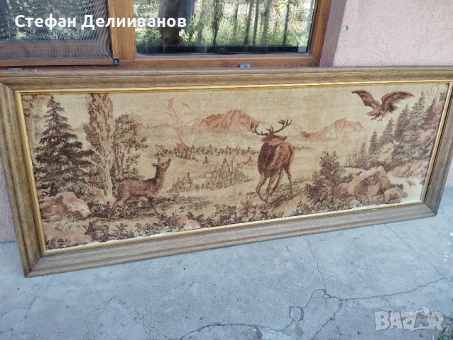 пано , снимка 2 - Пана - 51226103